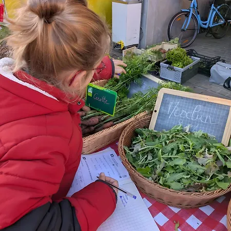 Ferme Pedagogique Bordeneuve Castanet-Tolosan