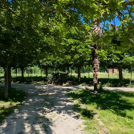 Ferme Pedagogique Bordeneuve Holiday home
