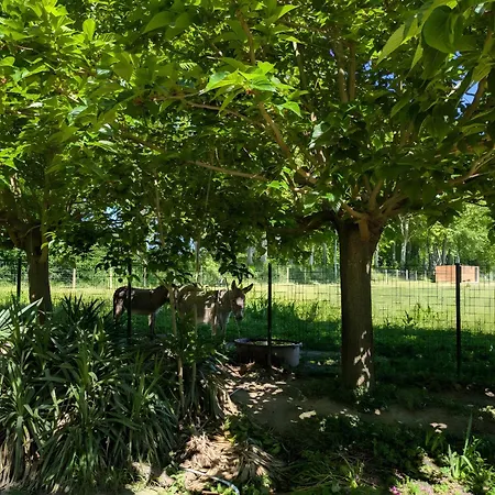 Ferme Pedagogique Bordeneuve