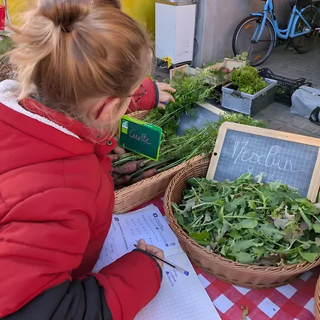 Ferme Pedagogique Bordeneuve Castanet-Tolosan